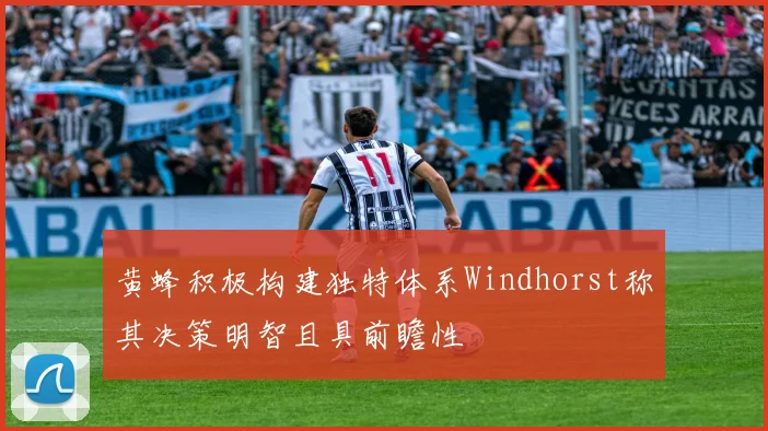 黄蜂积极构建独特体系Windhorst称其决策明智且具前瞻性